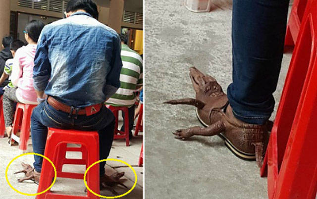 Daily Picdump [WEEKEND EDITION]