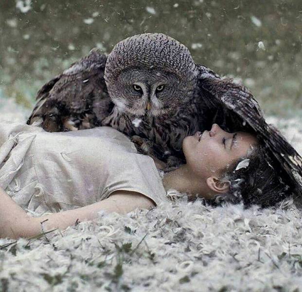 Daily Picdump