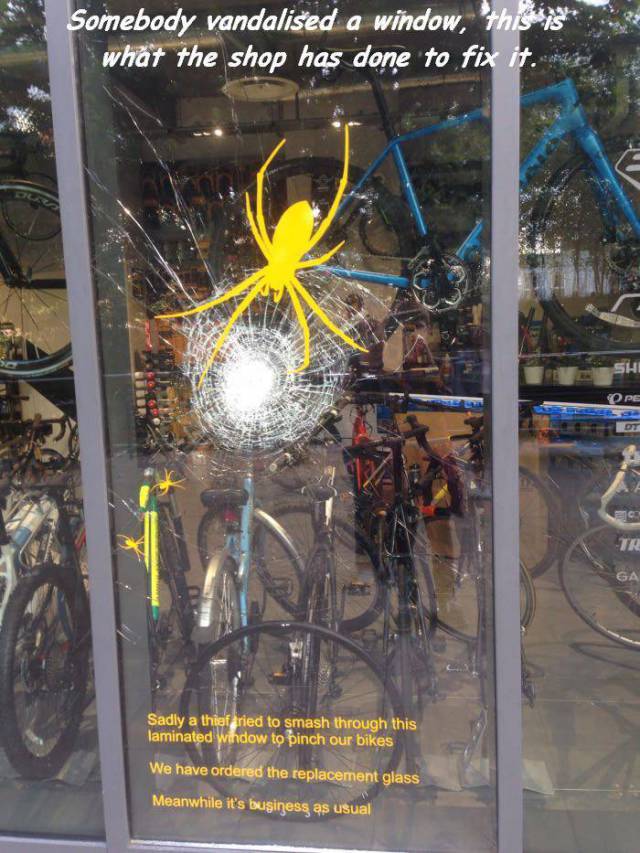 Content Image