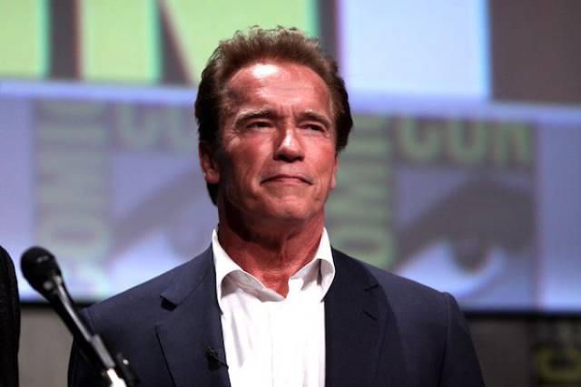20 Educating Facts About Arnie