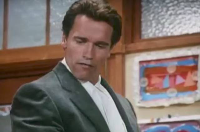 20 Educating Facts About Arnie