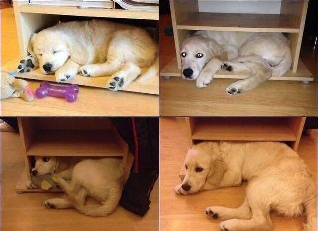 Daily Picdump