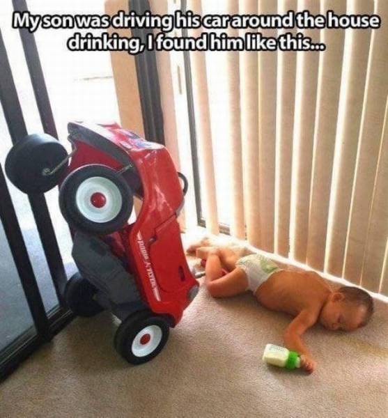Daily Picdump