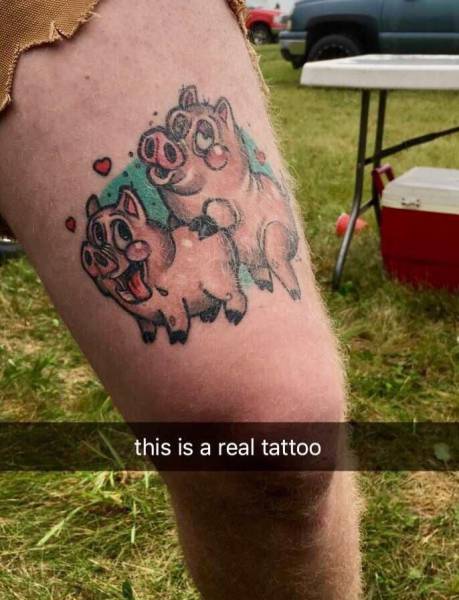 Daily Picdump