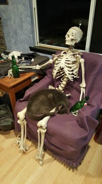Content Image