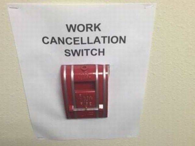 Content Image