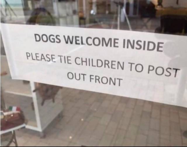 Content Image
