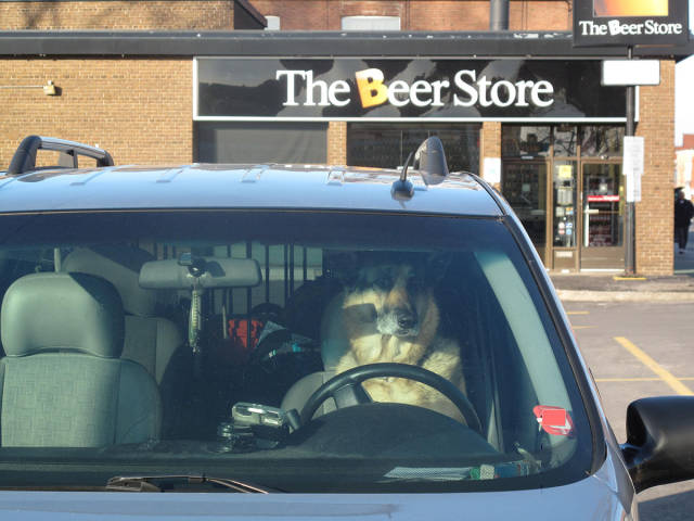 Morning Picdump