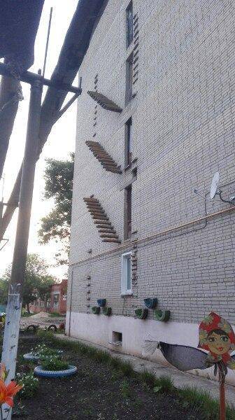 Morning Picdump