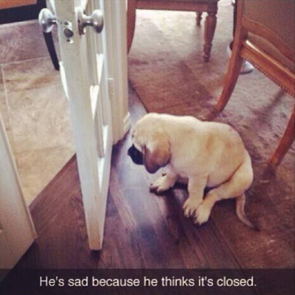 Morning Picdump