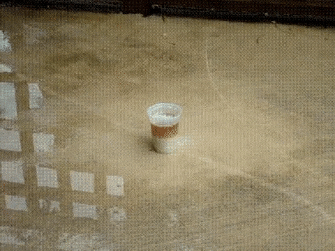 Because This Is Science