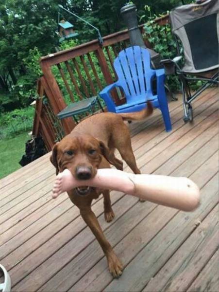 Daily Picdump