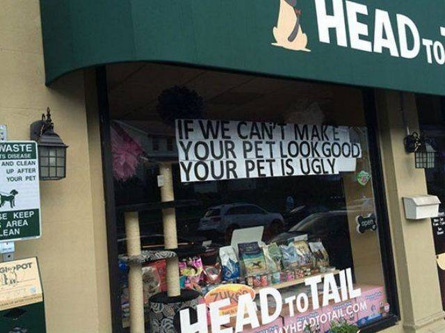 Content Image
