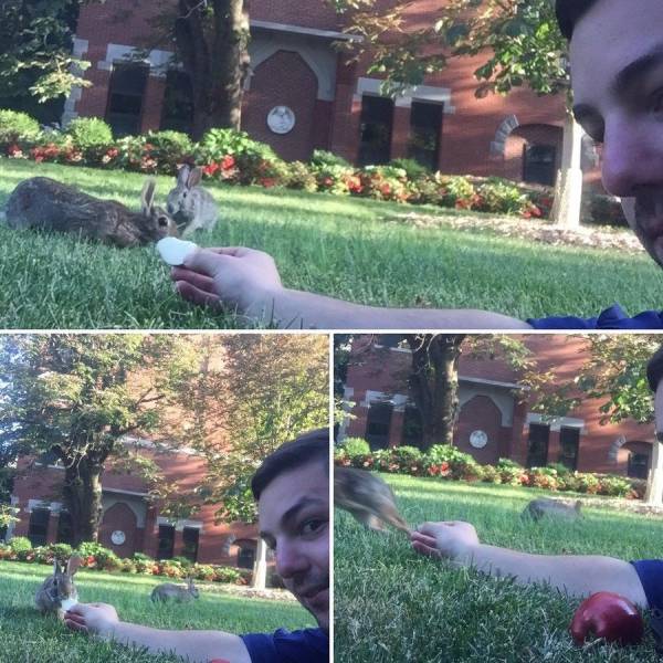 Content Image