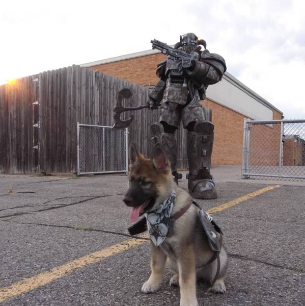 Content Image