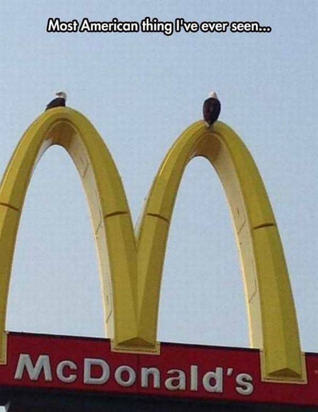 Content Image