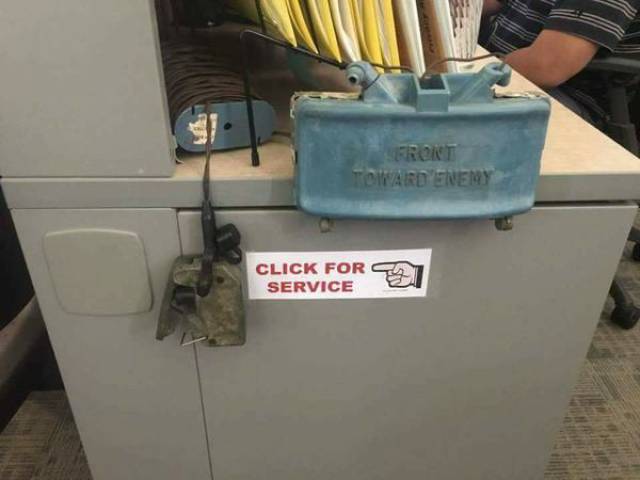 Morning Picdump
