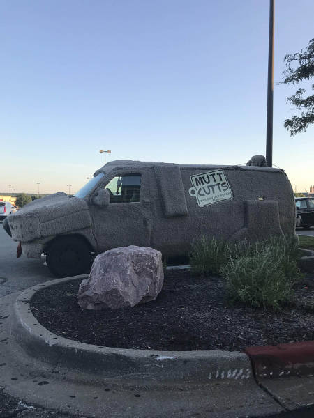 Content Image