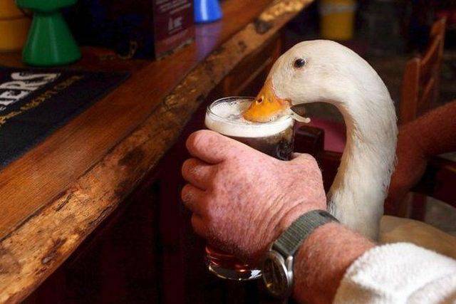 Daily Picdump [WEEKEND EDITION]