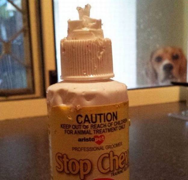 Content Image