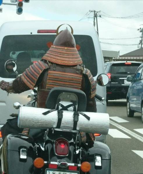 Daily Picdump