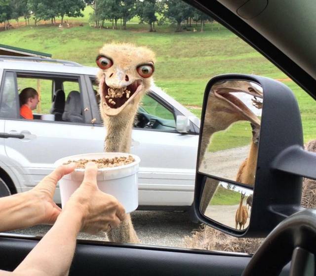 Daily Picdump