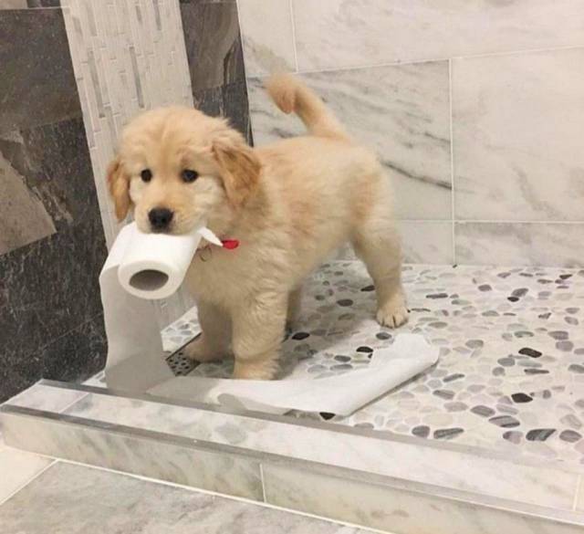 Content Image
