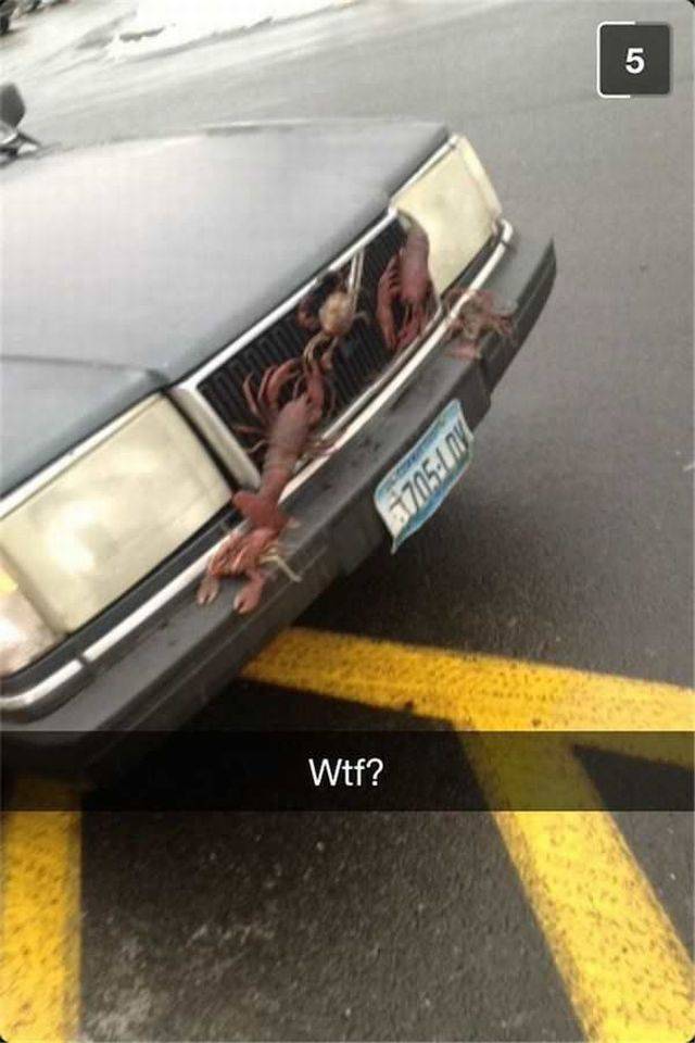 Content Image