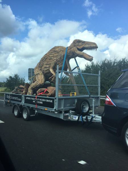 Daily Picdump