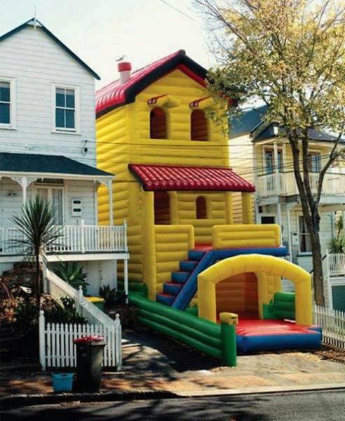 Daily Picdump