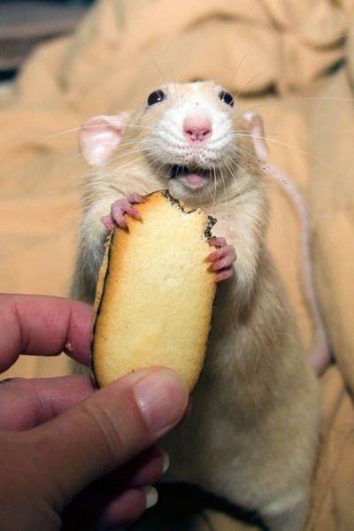 Daily Picdump