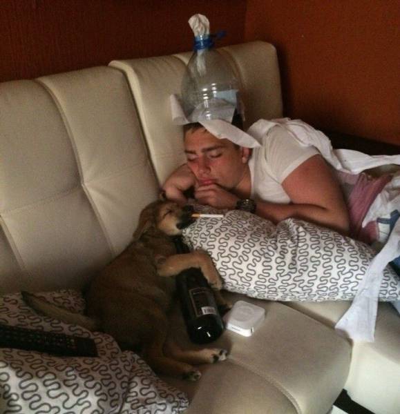 Daily Picdump
