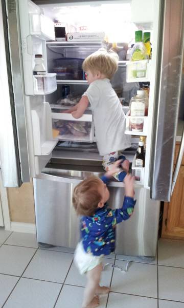 Daily Picdump