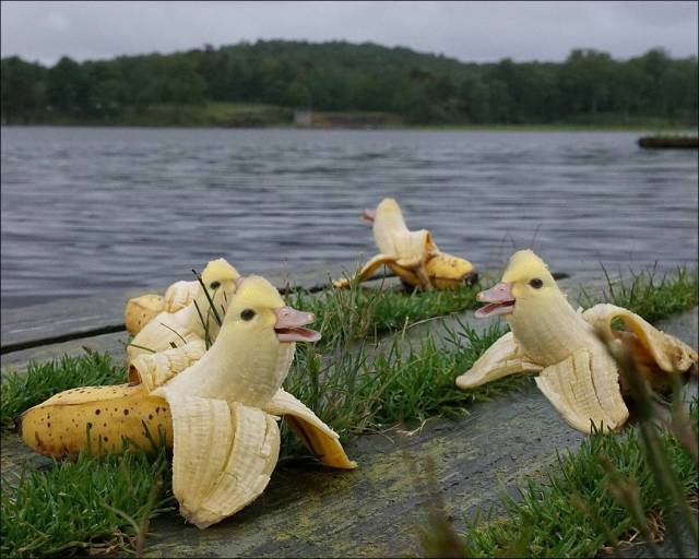 Content Image