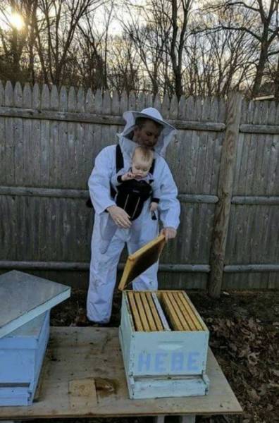 Content Image