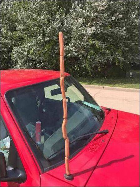 Content Image