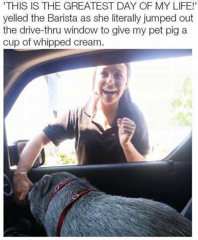 Daily Picdump