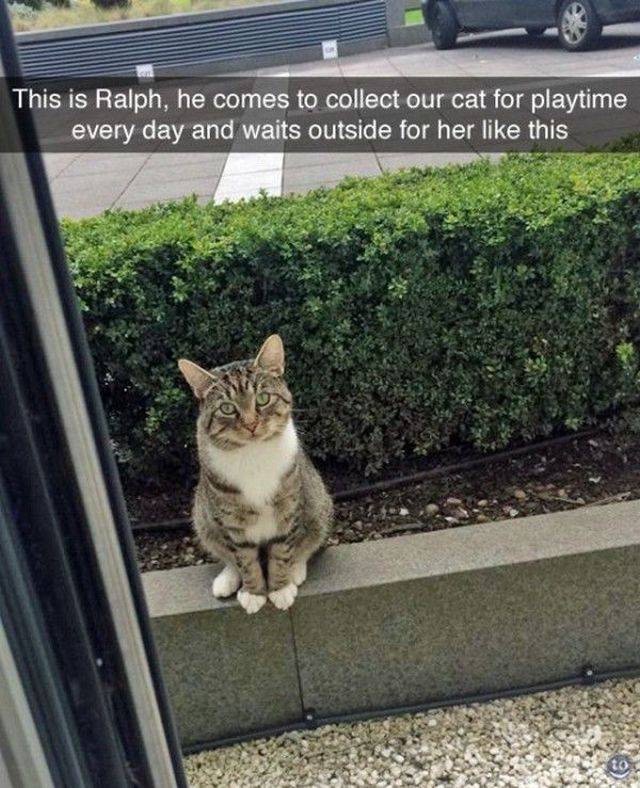 Daily Picdump
