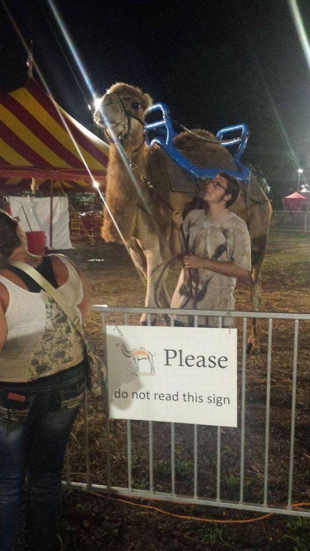 Content Image
