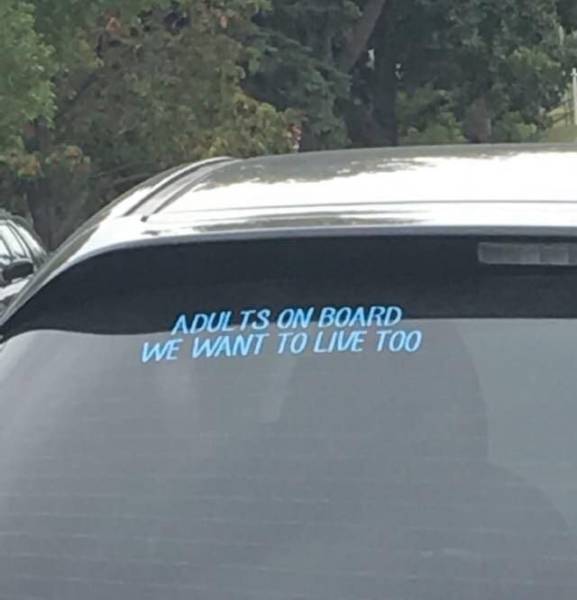 Daily Picdump [WEEKEND EDITION]