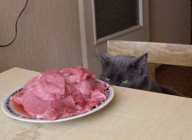 Content Image
