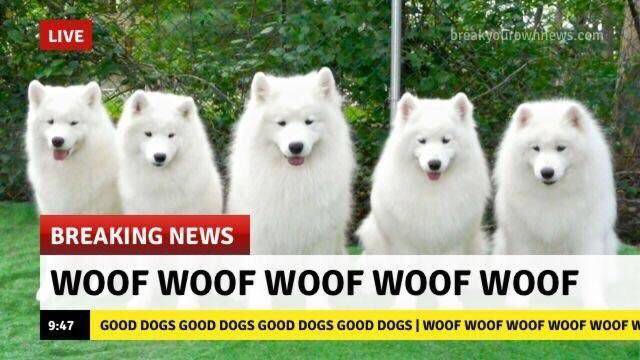 Content Image
