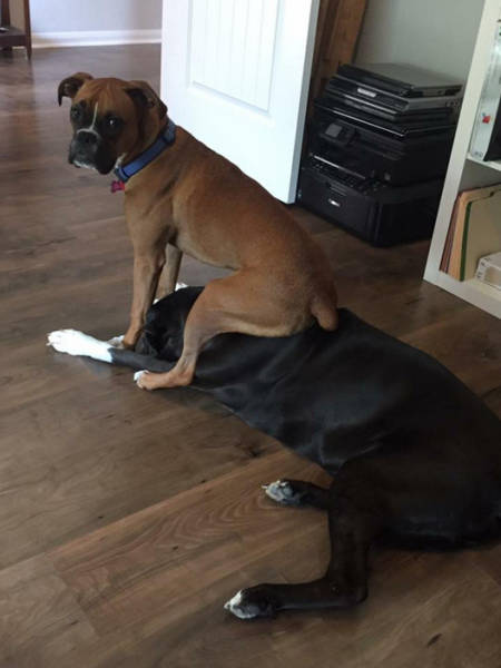 Morning Picdump