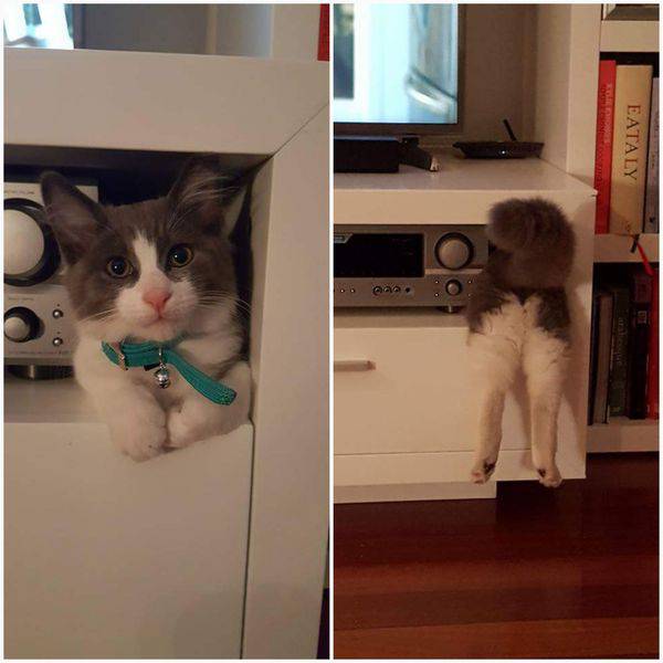 Morning Picdump