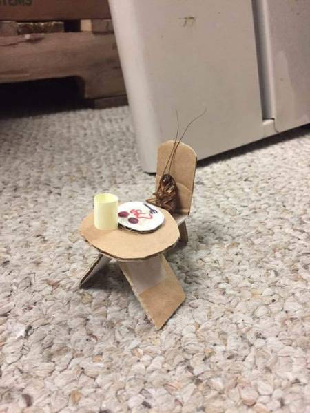 Morning Picdump