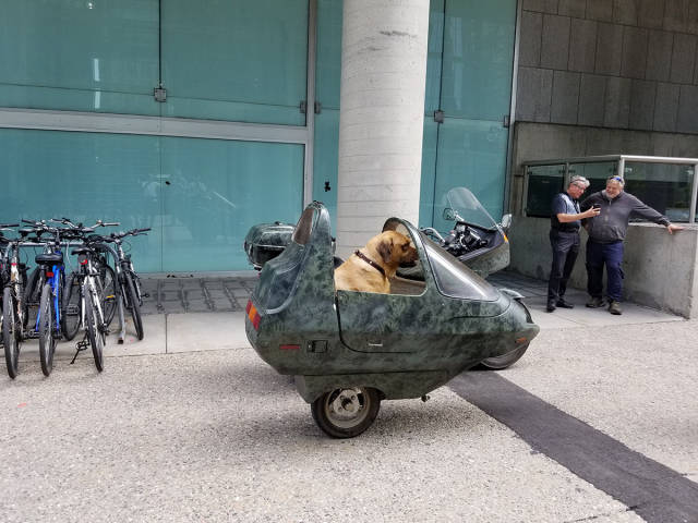 Content Image