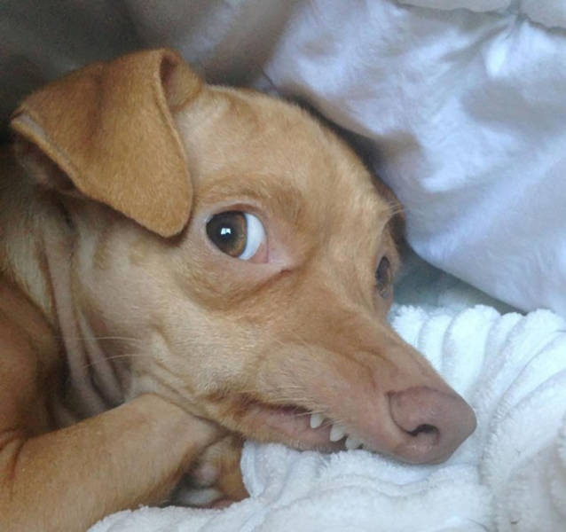 Daily Picdump [WEEKEND EDITION]