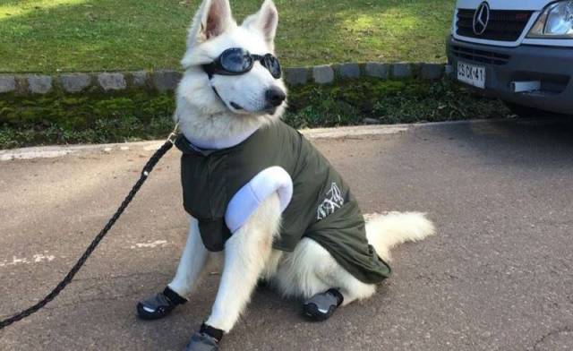 Content Image