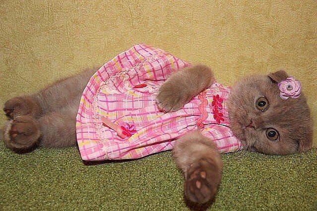 Daily Picdump