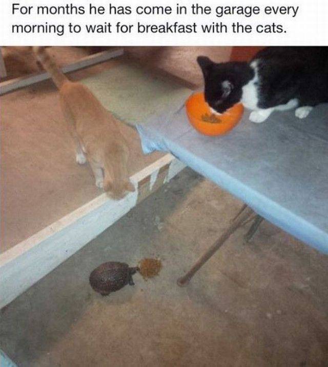 Daily Picdump
